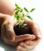 /album/medio-ambiente-/images-2-jpg1/